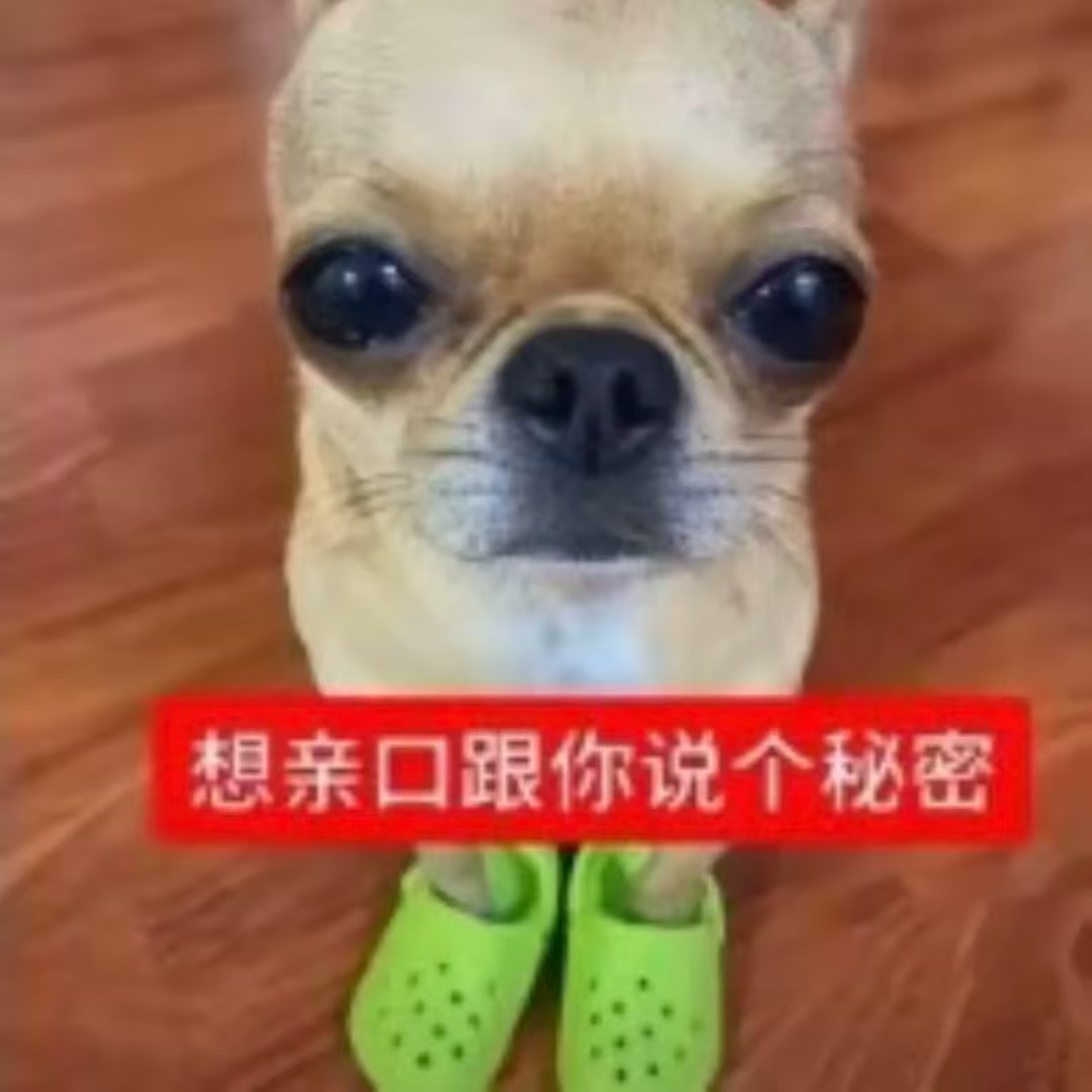 主页表情包
