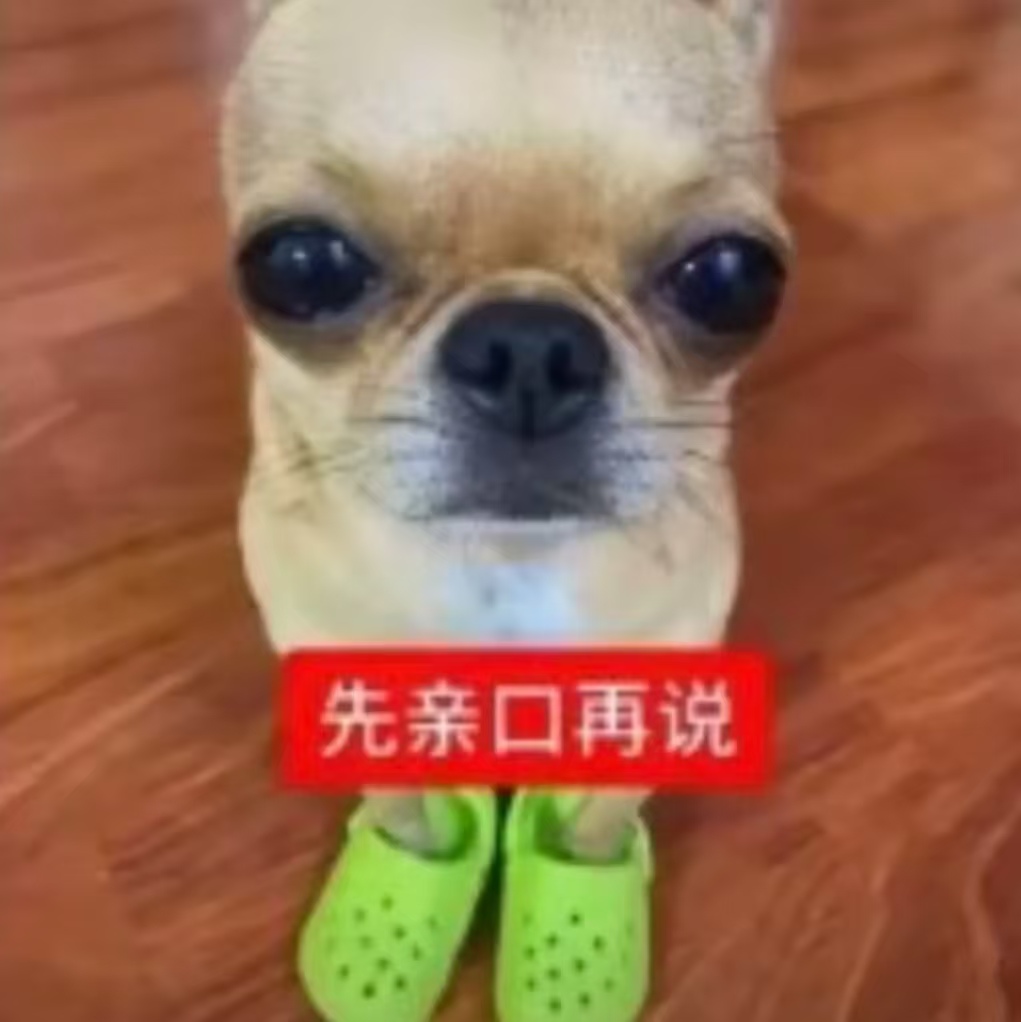 主页表情包