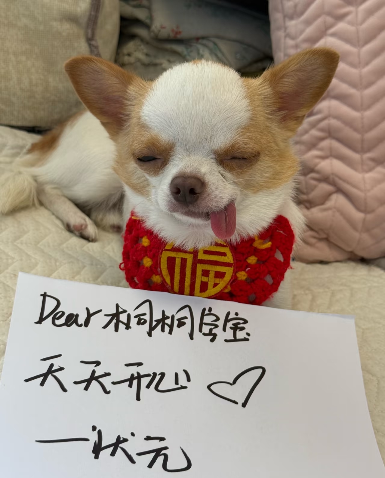 主页表情包